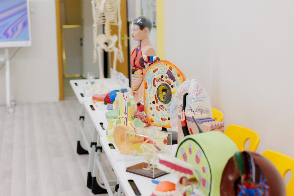 TIM-1-5.jpg TIM-1-5.jpg